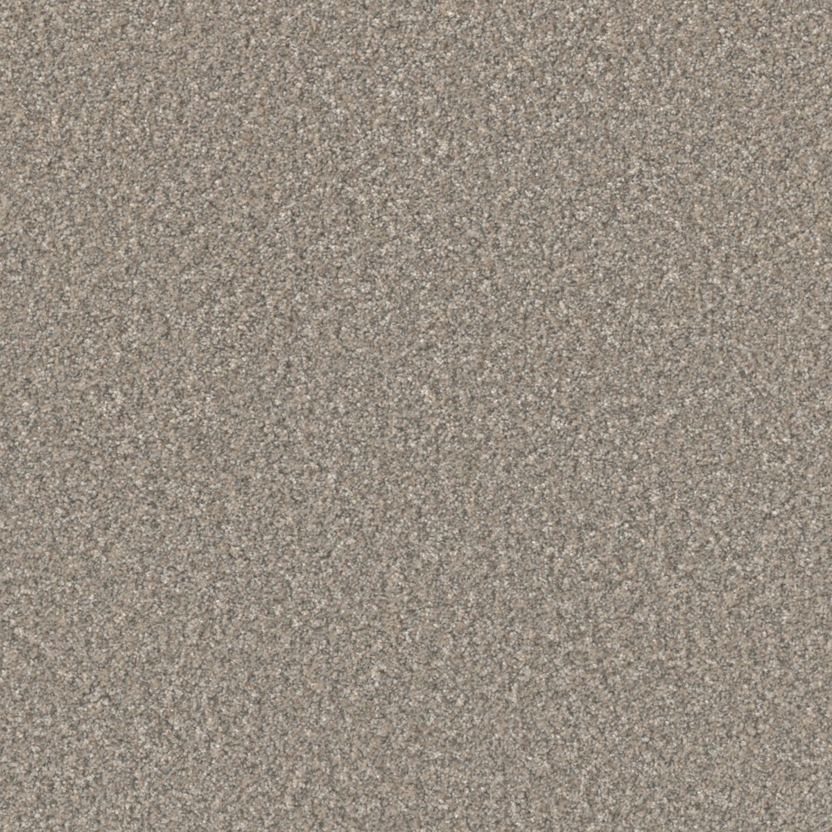 Excalibur II in Breezeway Carpet