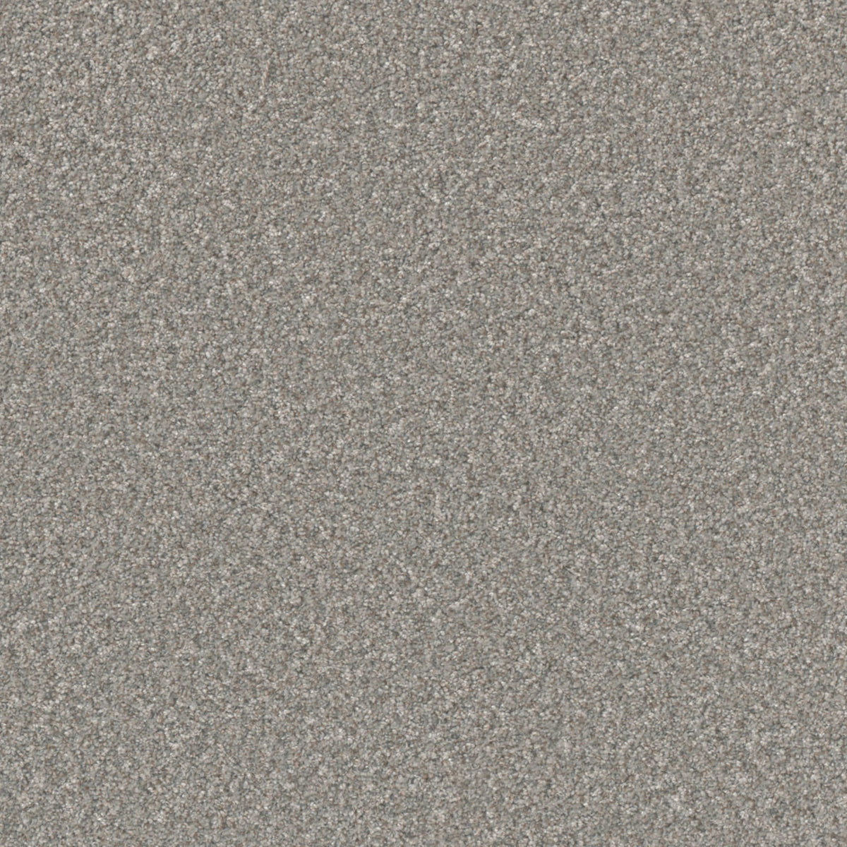 Excalibur III in Rockport Carpet