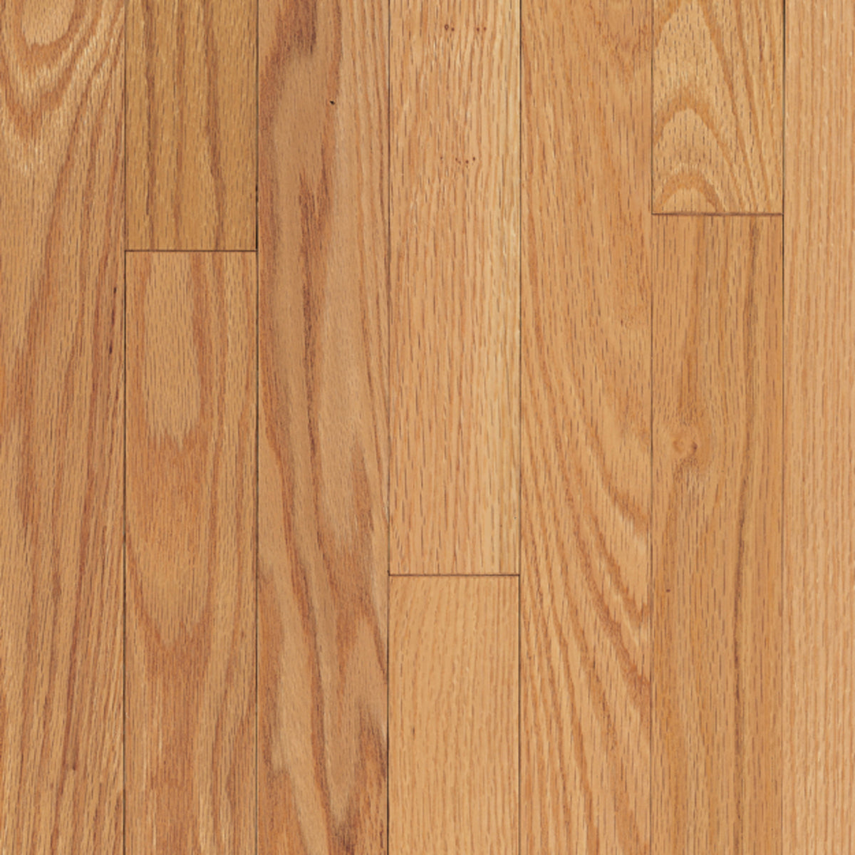 Ascot Strip Red Oak Solid in Natural Hardwood