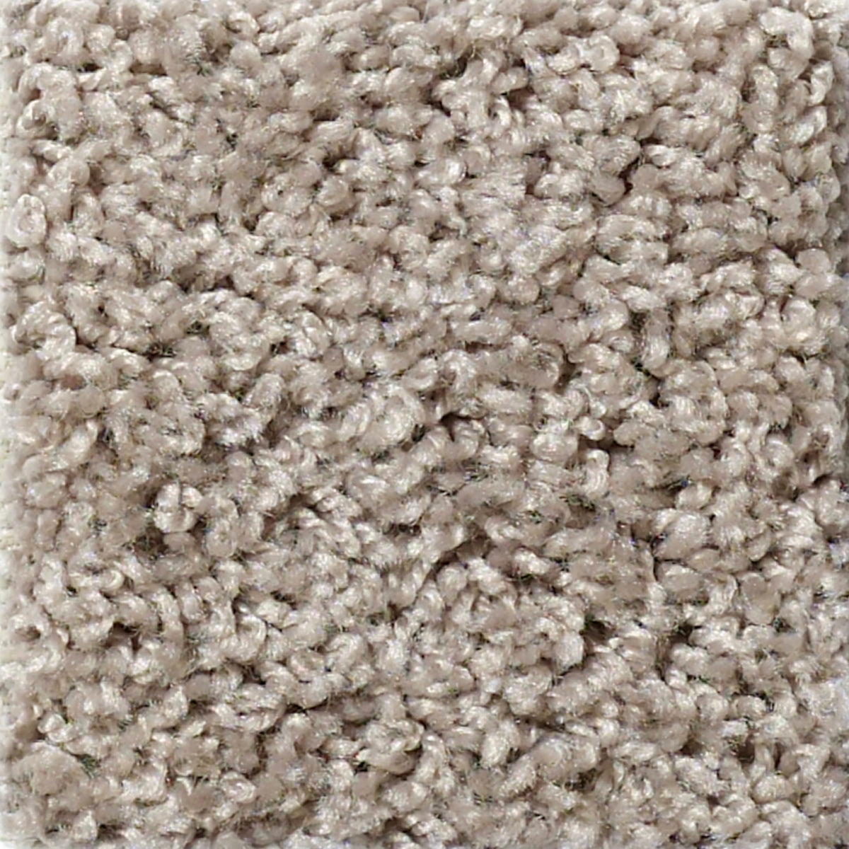 Wellington (S) in Dog Sled Carpet