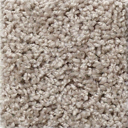 Wellington (S) in Dog Sled Carpet