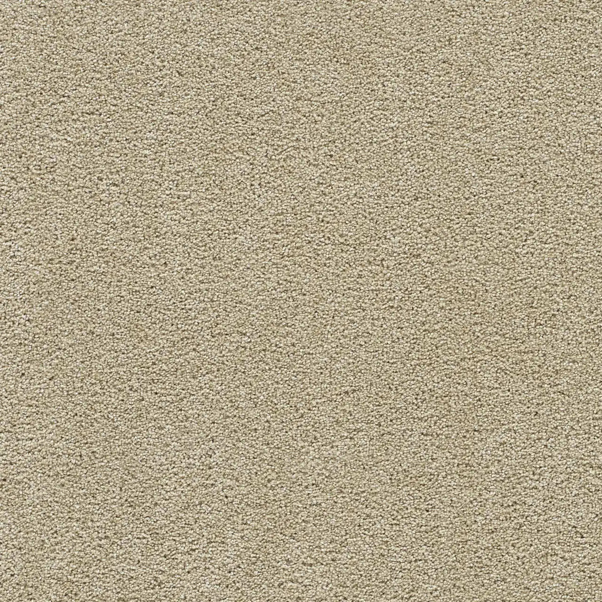 Clear Skies II in Blush Carpet