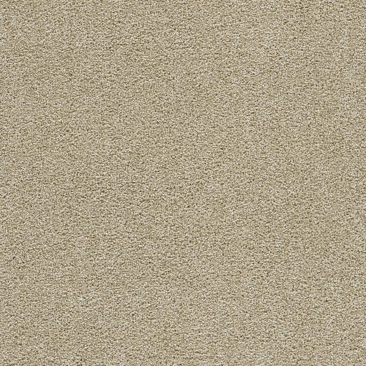 Clear Skies III in Cream Carpet