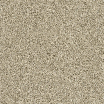 Clear Skies III in Cream Carpet