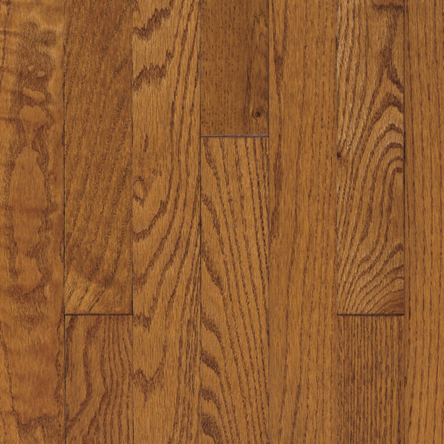 Ascot Plank Red Oak Solid in Chestnut Hardwood