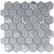 Monet Magic in Foggy Hex Glass Tile