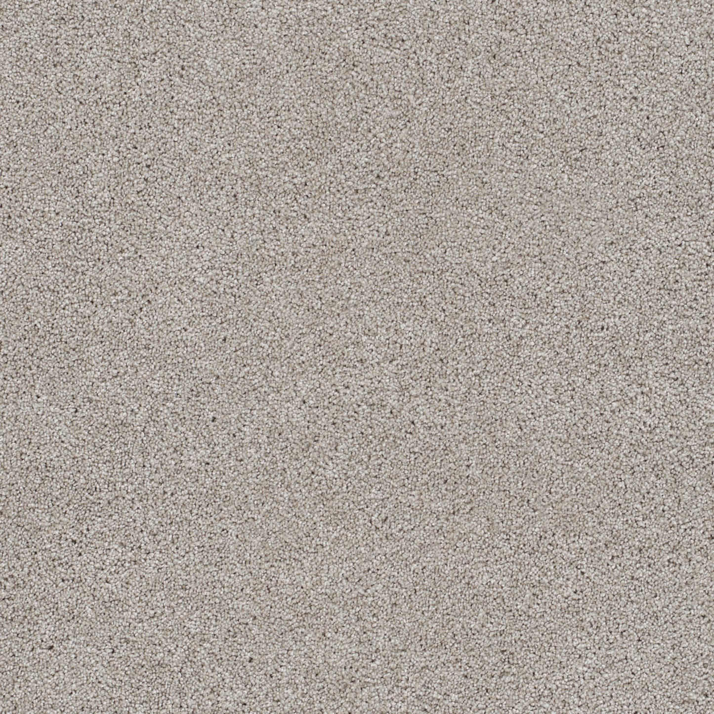 Reflections I in Acadia    Carpet