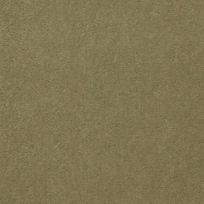 Emphatic II 36