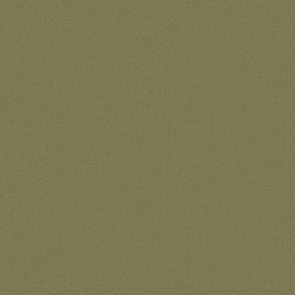 Color Accents Bl