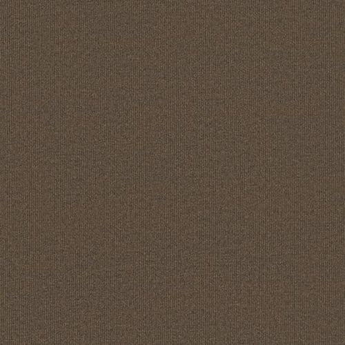 Backdrop 2 12