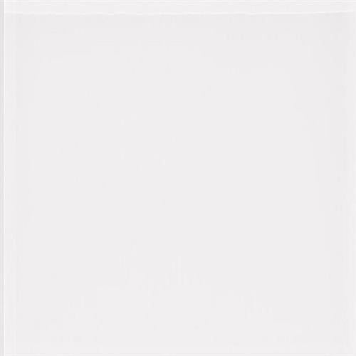 Color Palette - Gloss in Mirage White Gloss 3x6 Natural Stone