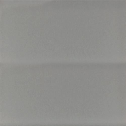 Color Palette - Gloss in Pale Gloss 8x16 Natural Stone