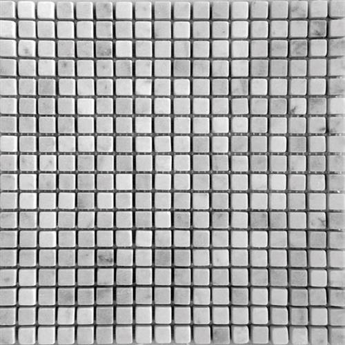 Marbella in Carrara 5/8x5/8' Tumbled Natural Stone