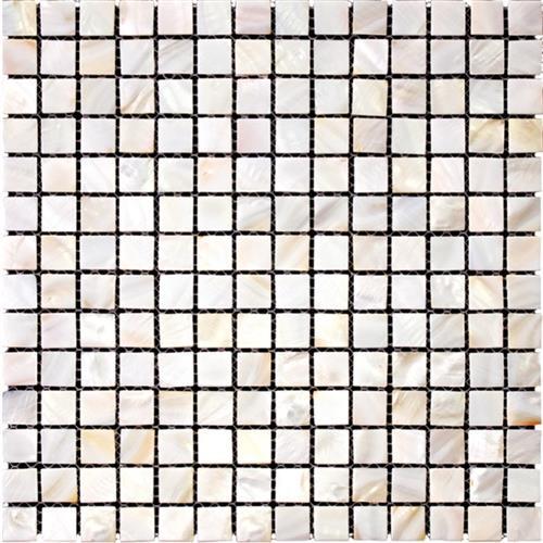 Shell in Key West Natural Stone
