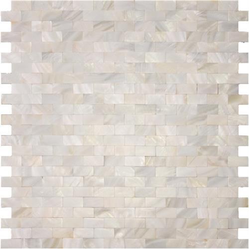 Shell in Daytona Beach Natural Stone