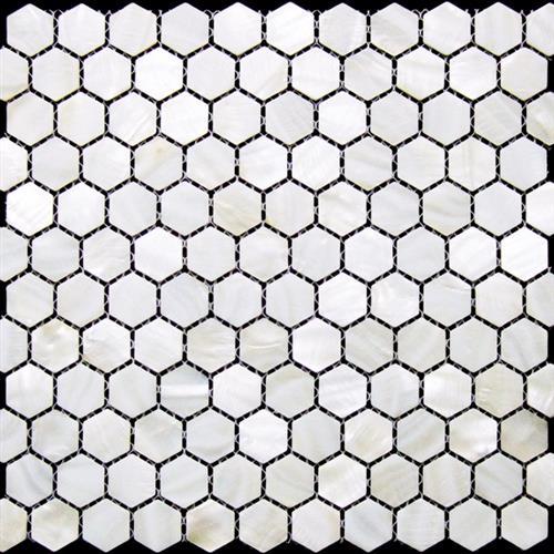 Shell in Miami Natural Stone