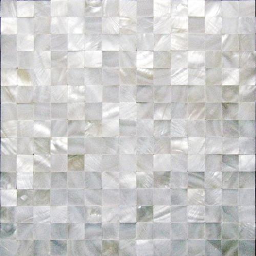 Shell in Seagate Natural Stone