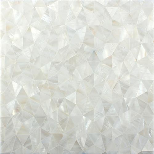 Shell in Treasure Island Natural Stone