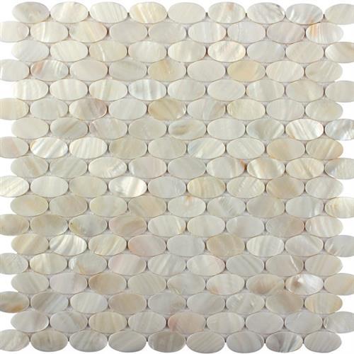 Shell in Satelite Beach Natural Stone