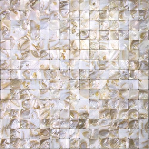 Shell in Cape Royal Natural Stone
