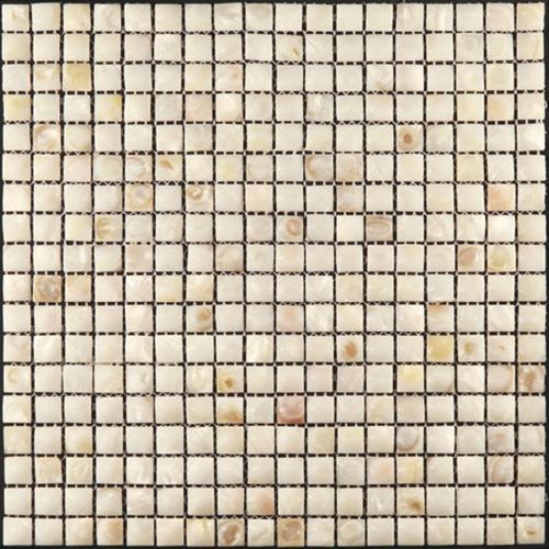 Shell in Pompano Natural Stone