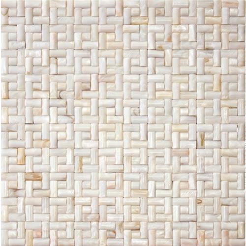 Shell in Sanibel Natural Stone
