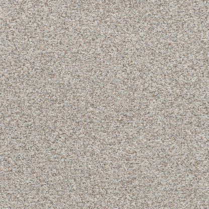 Prismatic I in Saturation Carpet