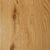 Town Square in Red Oak - Natural 5" Hardwood