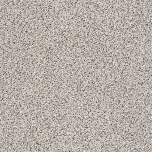 TAKE THE FLOOR ACCENT II