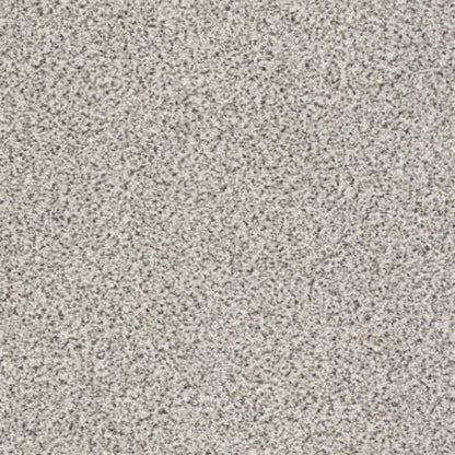 TAKE THE FLOOR ACCENT II