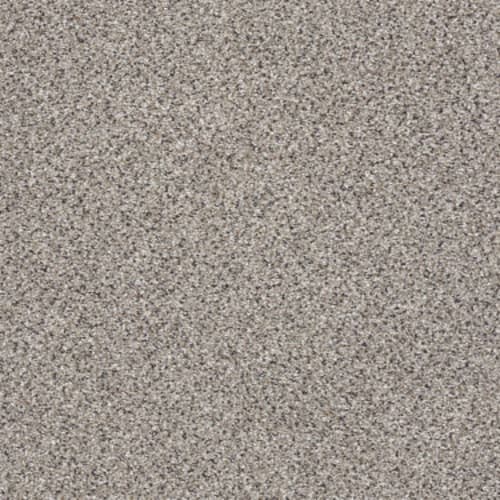 TAKE THE FLOOR ACCENT II