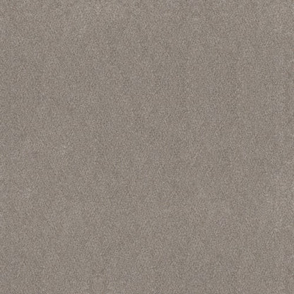 MONTAGE II