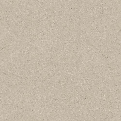 SOLIDIFY II 15'