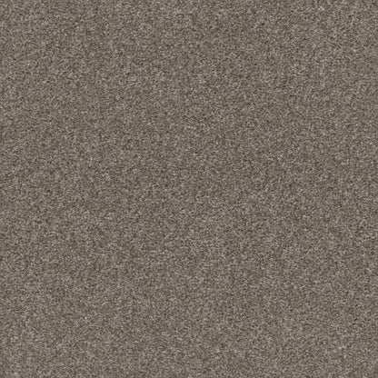 CALM SIMPLICITY I