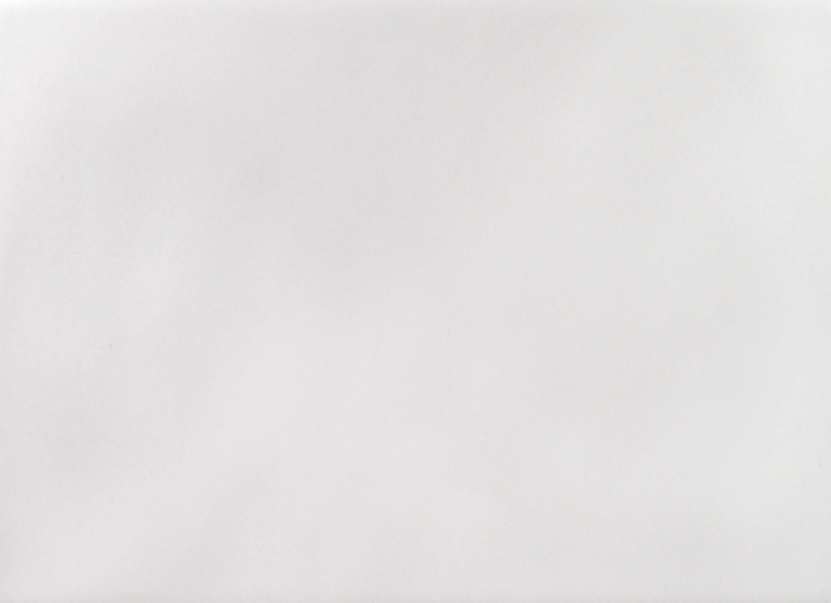 Buteo - 5x16 in White Tide Matte - 5x16