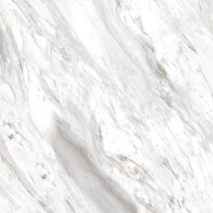 Bianco in Carrara Tile