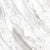 Bianco in Carrara Tile