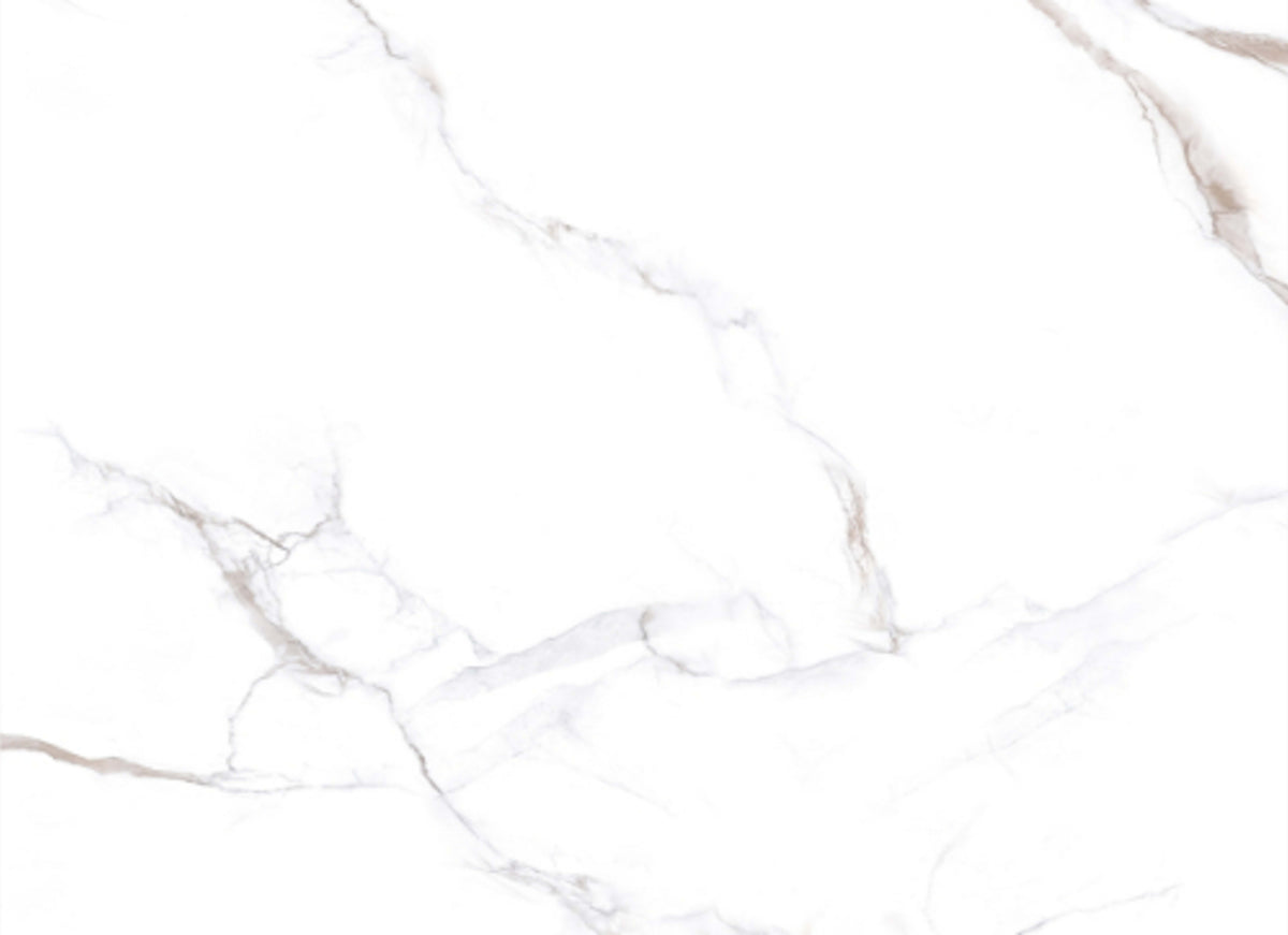 Calacatta Bronze in Polished 12x24