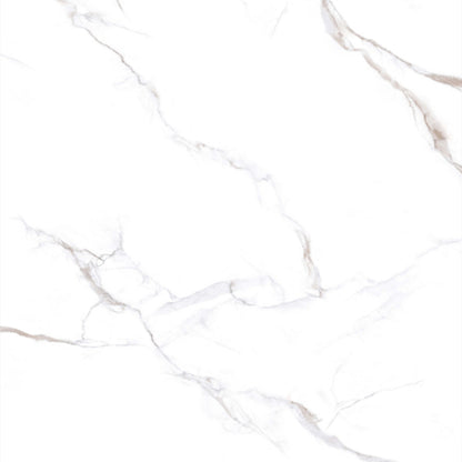Calacatta Bronze in Polished 12x24 Tile