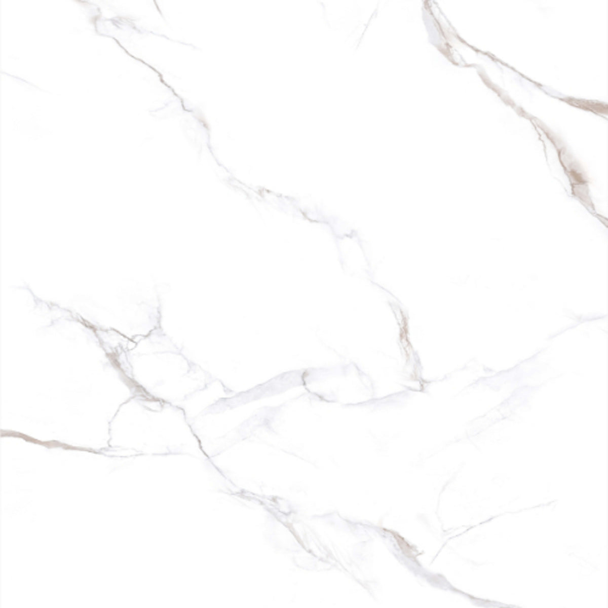 Calacatta Bronze in Polished 24x24 Tile