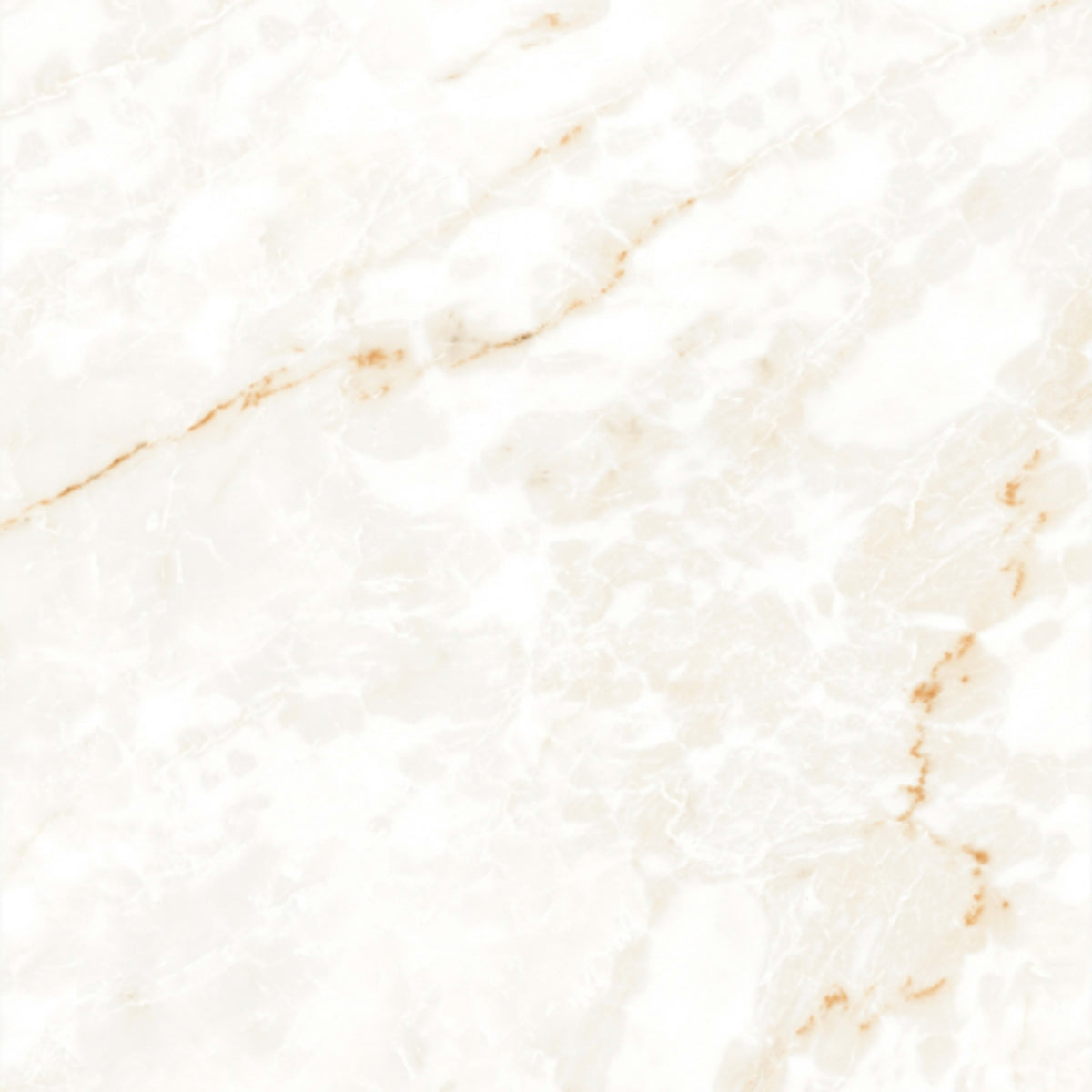 Calacatta Glam in Polished 24x48 Tile