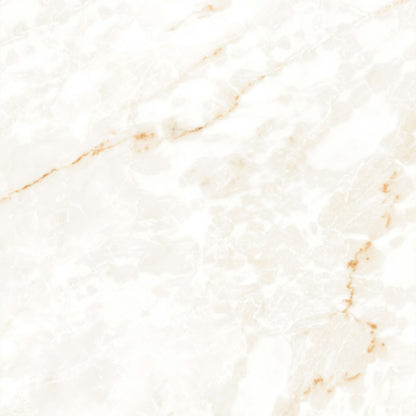 Calacatta Glam in Polished 24x48 Tile