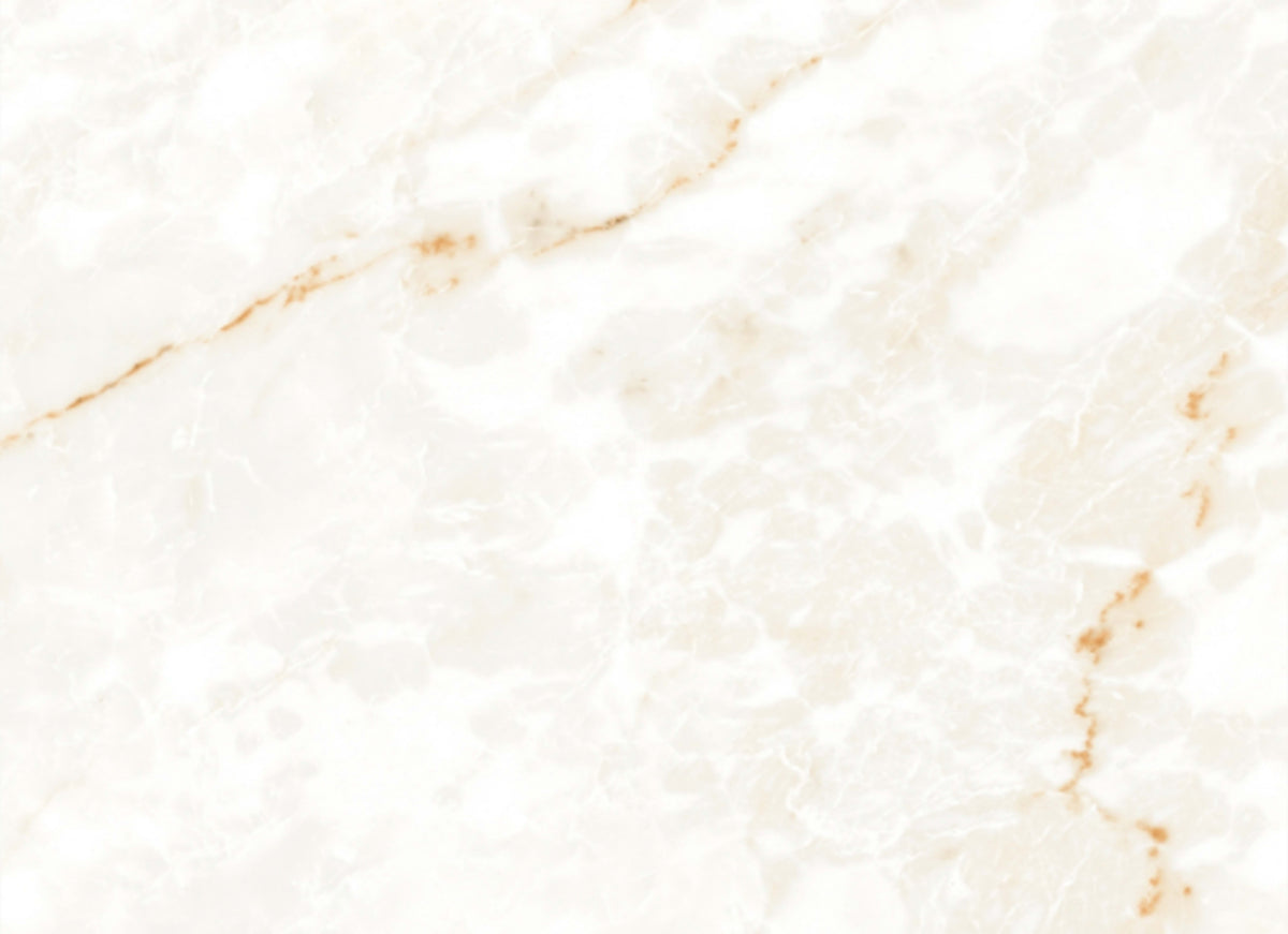 Calacatta Glam in Polished 24x48