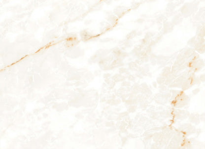Calacatta Glam in Polished 24x48