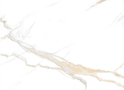 Calacatta Gold in Sugar Effect 12x48