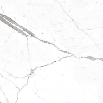 Calacatta Pearl in Polished 12x24 Tile