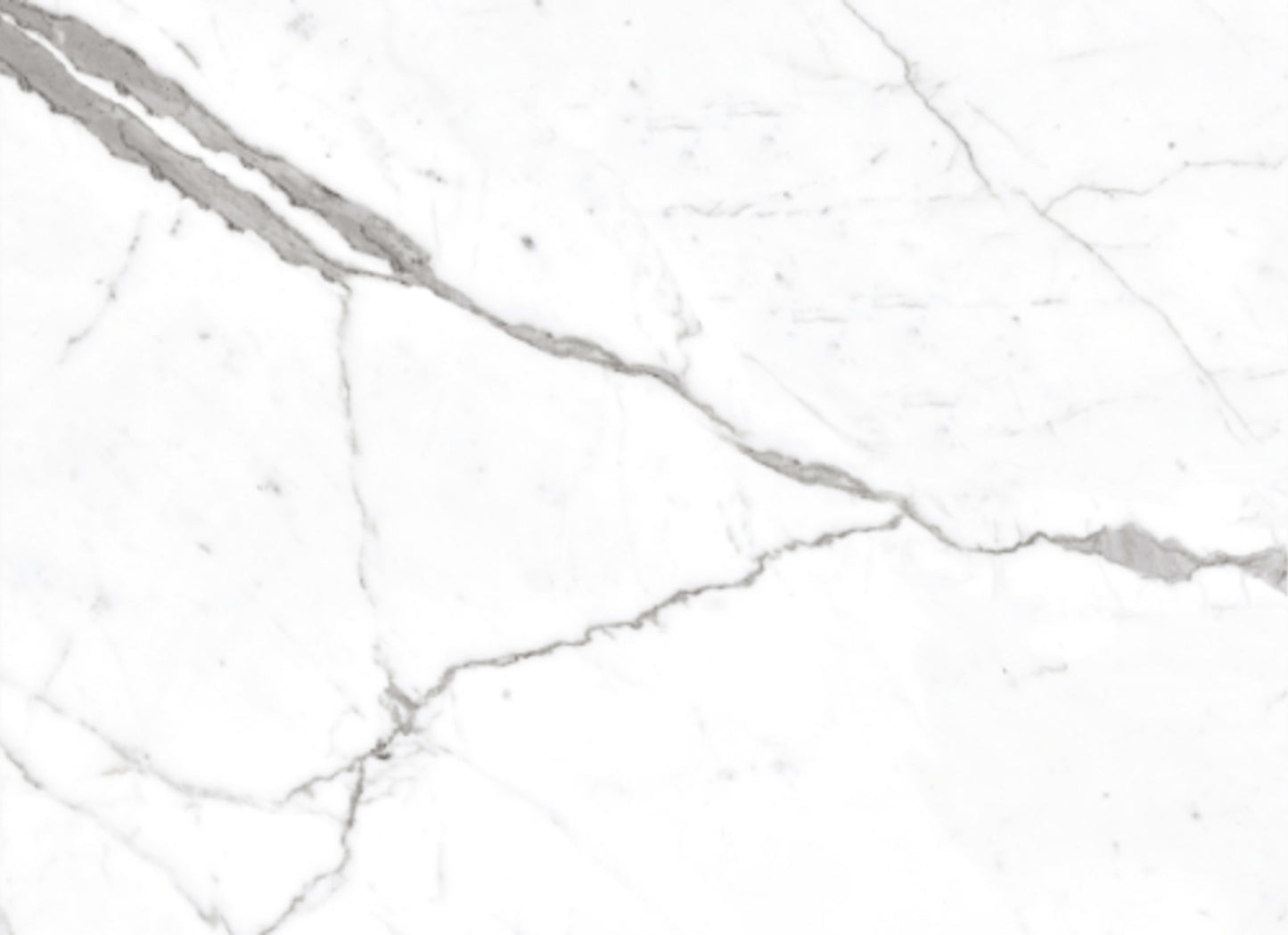 Calacatta Pearl in Polished 12x24
