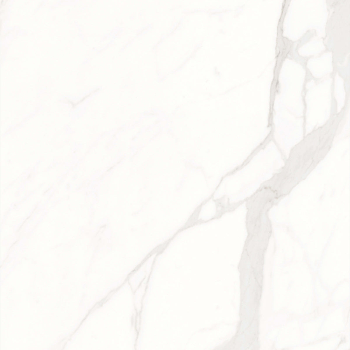 Calacatta Suave in Polished 24x48 Tile