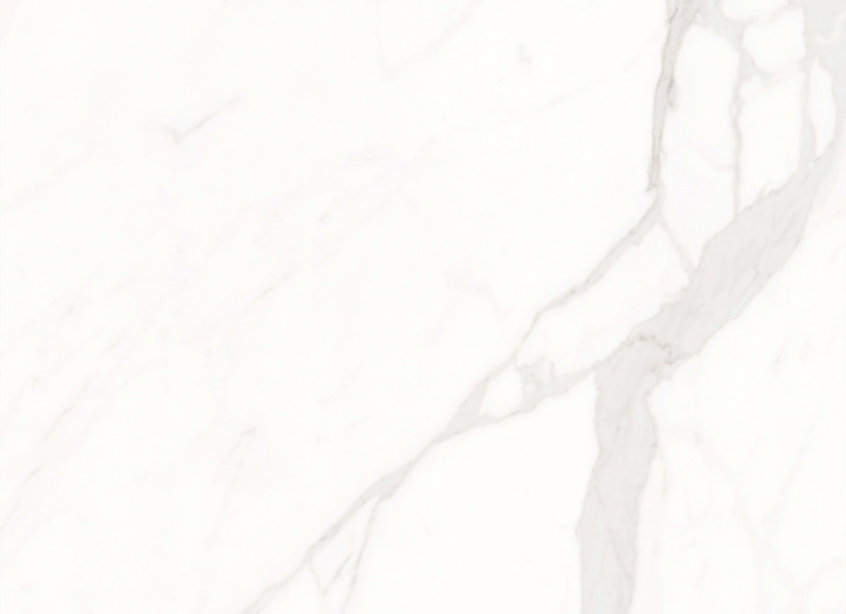 Calacatta Suave in Polished 24x48