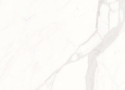 Calacatta Suave in Polished 24x48